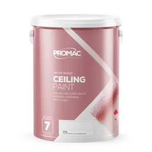 Promac-ceiling-paint-diy