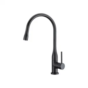 MacNiel Cher Kitchen Sink Mixer