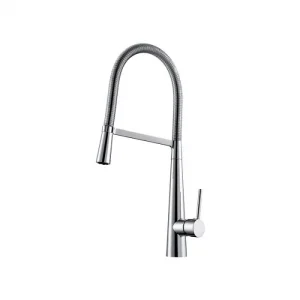 MacNiel Meuse Kitchen Sink Mixer